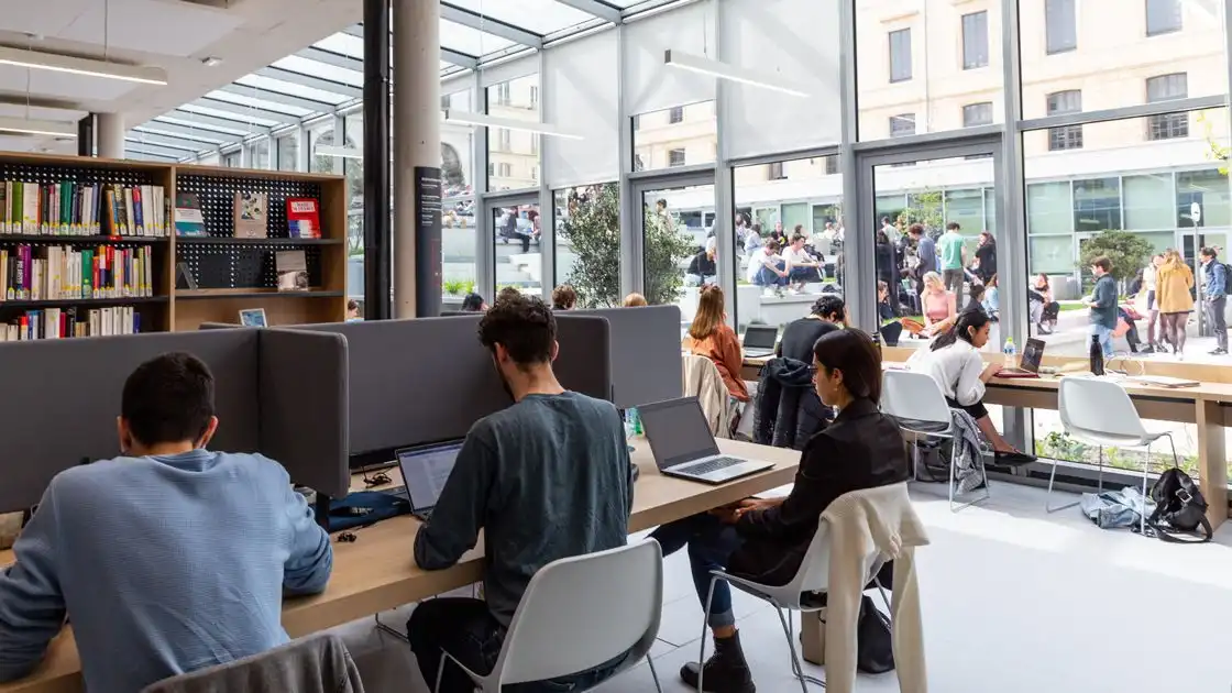 sciencespo bibliotheque recherche 1st thomas